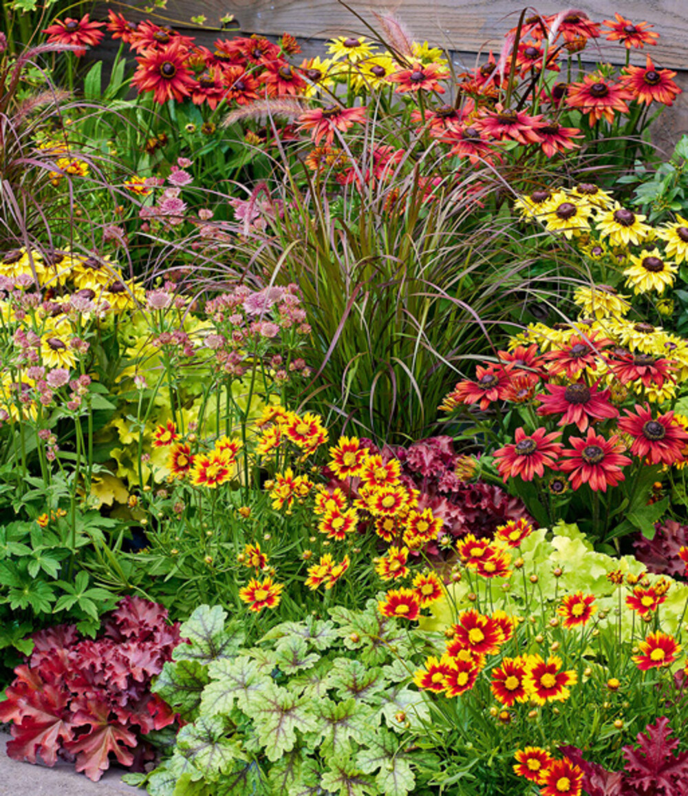 Vaste planten