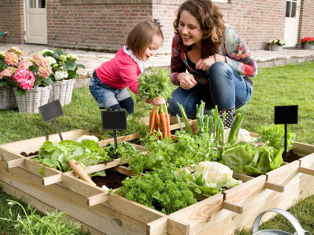 De moestuin