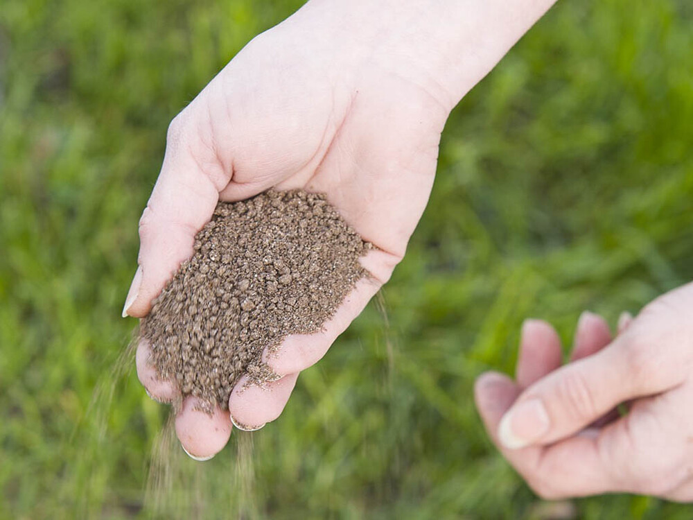 Uw tuin voorjaarfit!