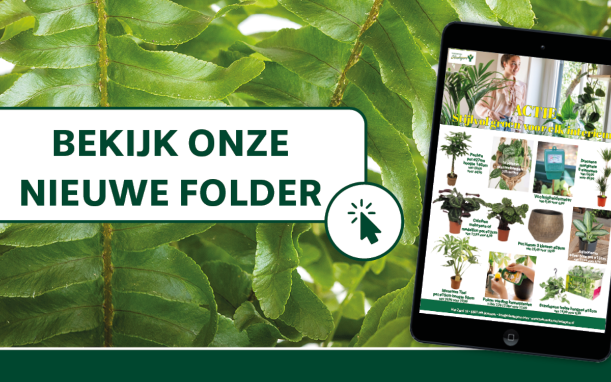 Hét tuincentrum van Boxmeer