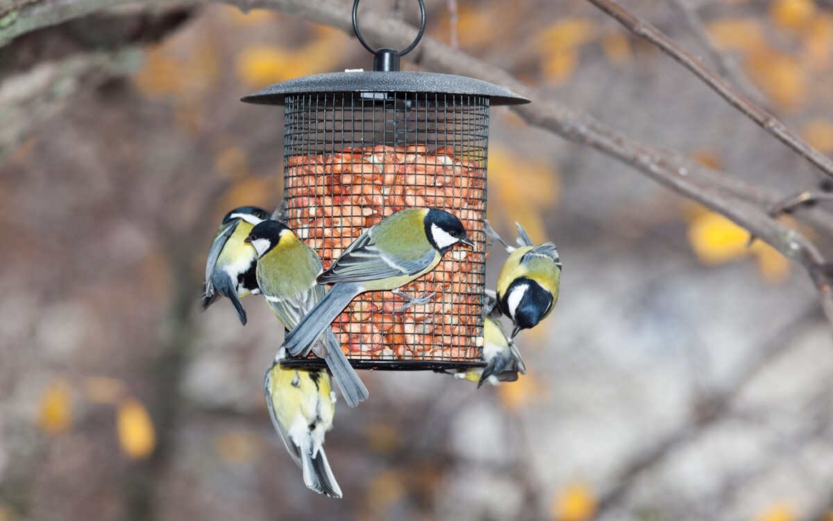 Alles voor de leukste tuinvriendjes!