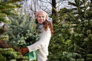 De geschiedenis van de kerstboom