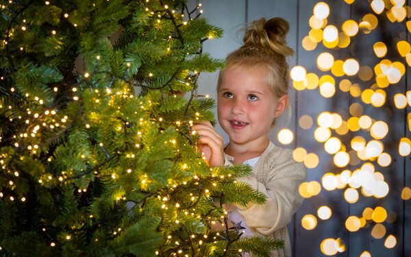 Hét tuincentrum van Boxmeer - Tuincentrum Olieslagers Boxmeer